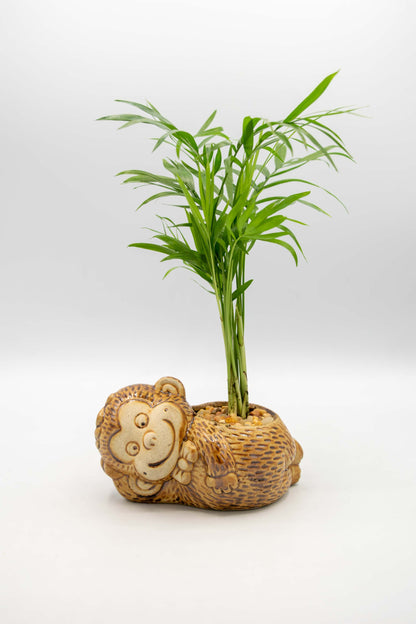 Monkey Bowtie Planter