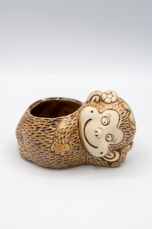 Monkey Flower Planter