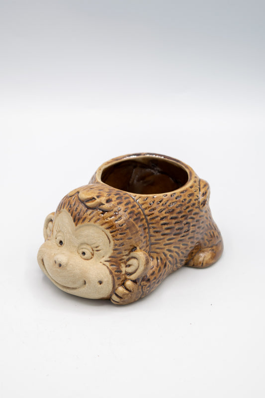 Monkey Front Facing Planter