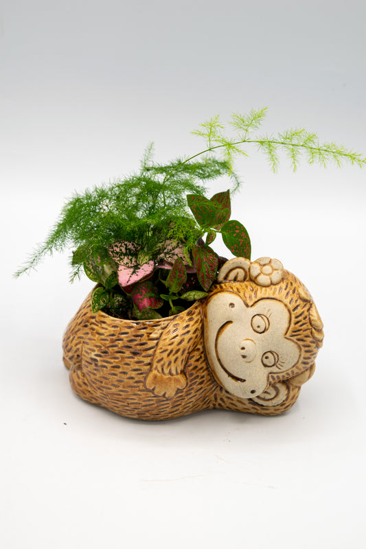 Monkey Flower Planter