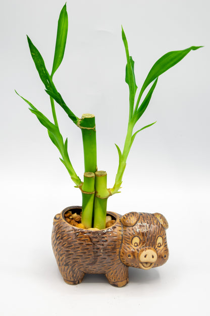 Pig Right Facing Planter