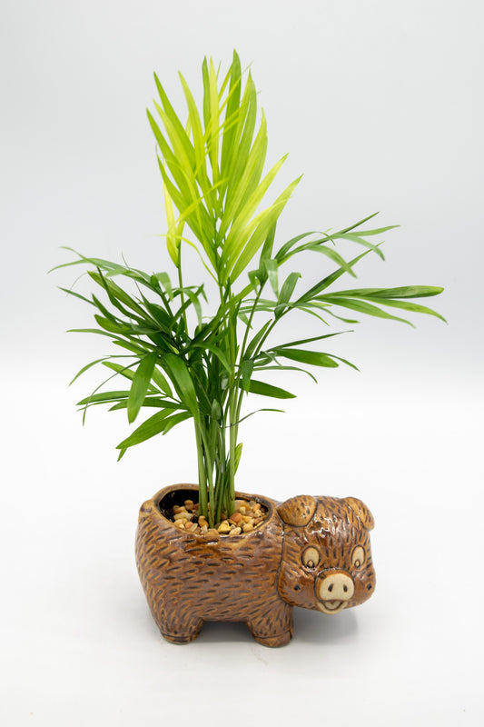 Pig Right Facing Planter