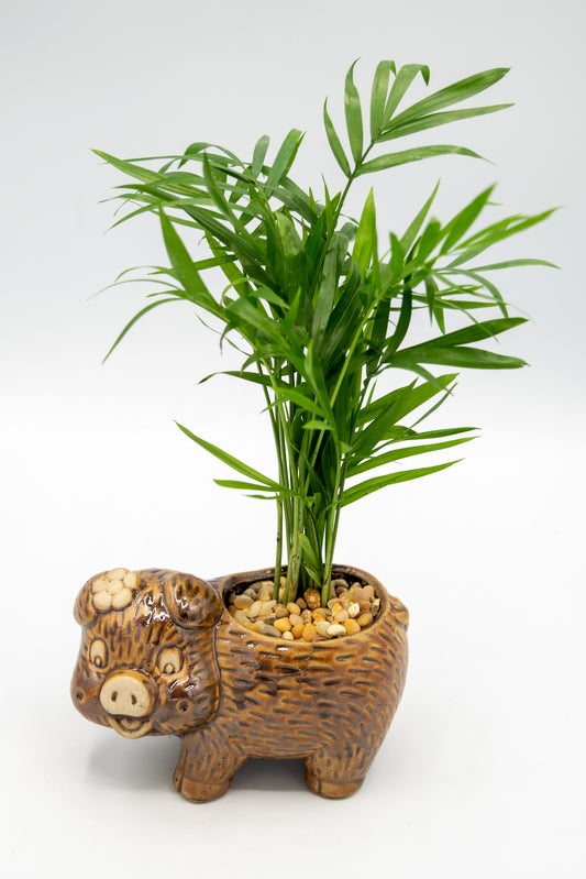 Pig Left Facing Planter