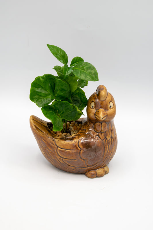 Chicken Right Facing Planter