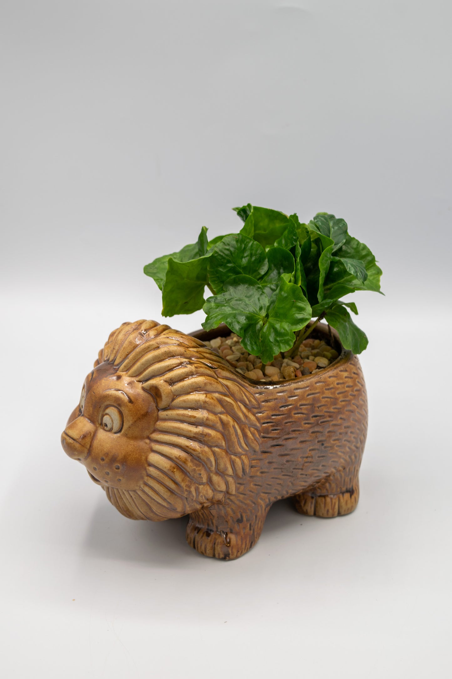 Lion Large Planter