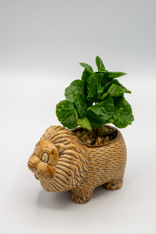 Lion Small Planter