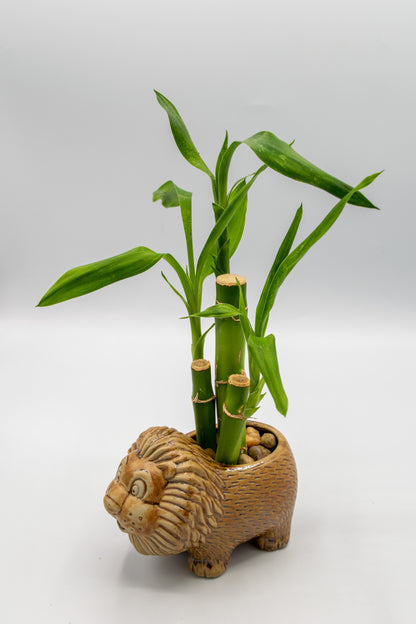 Lion Small Planter