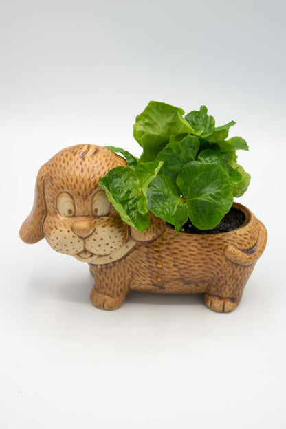Dachshund Planter