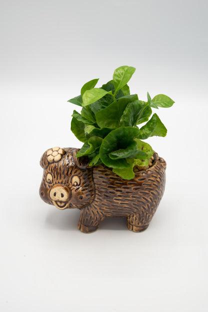 Pig Left Facing Planter