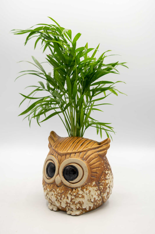 Owl Planter