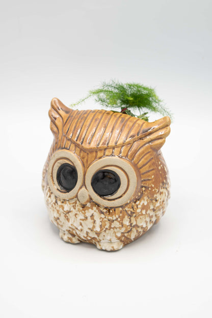 Owl Planter
