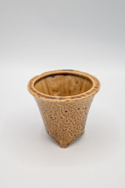 Orchid Planter