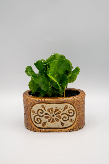 Ceramic Oval Floral Planter
