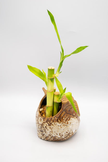 Owl Planter