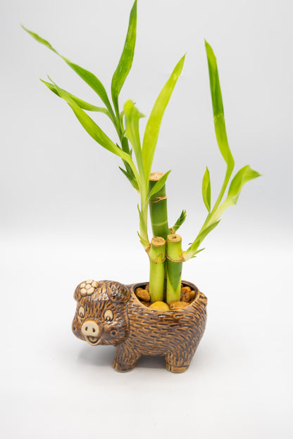 Pig Left Facing Planter