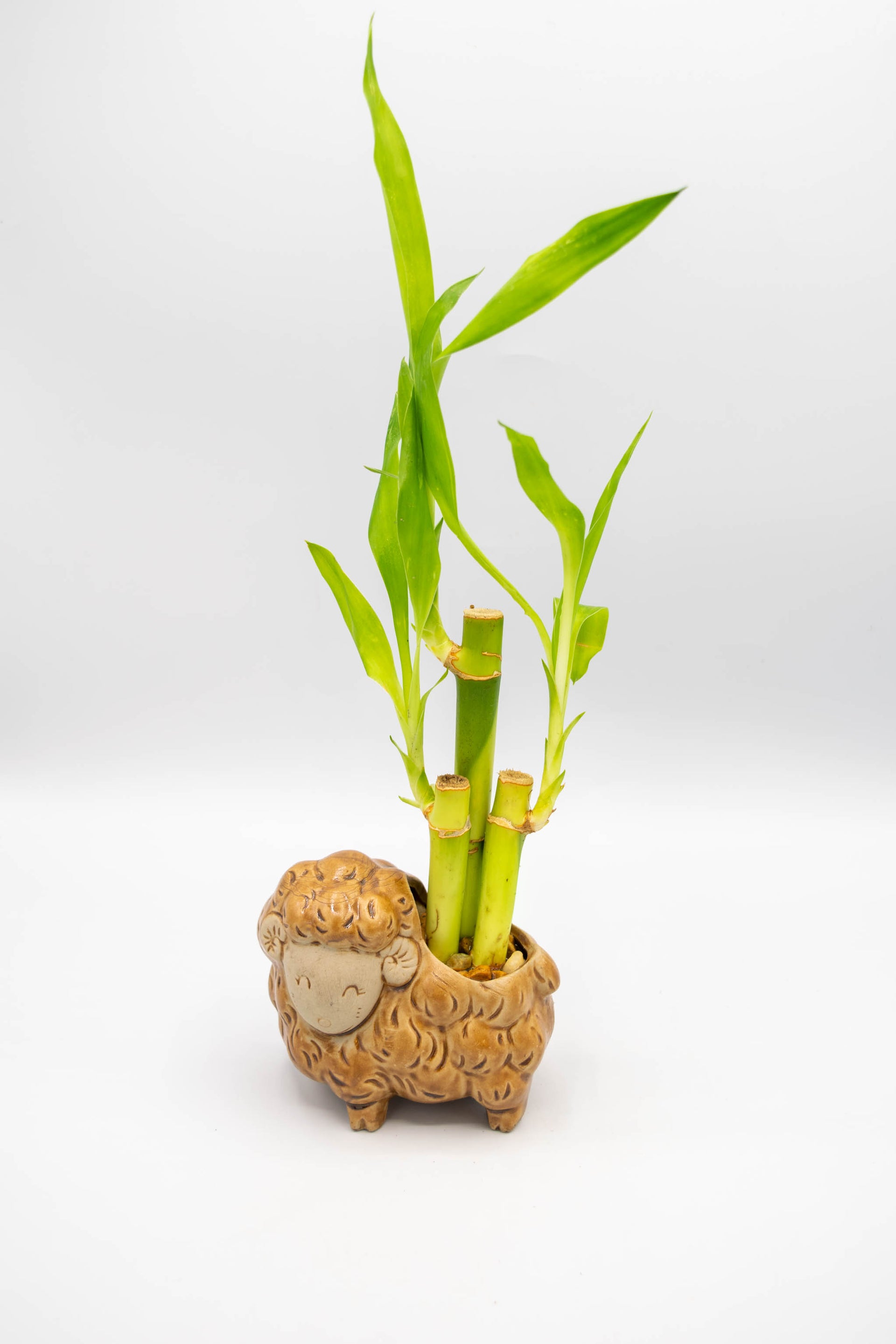 lamb plant pot Handcrafted Animal Planters – Ideal Gifts for Plant & Animal Enthusiasts