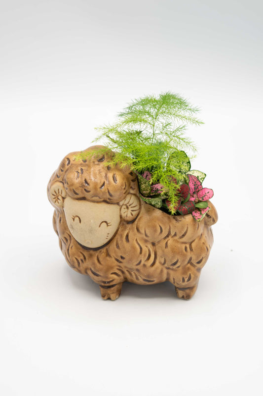 Sheep/ram/lamb planter with plants on a white background