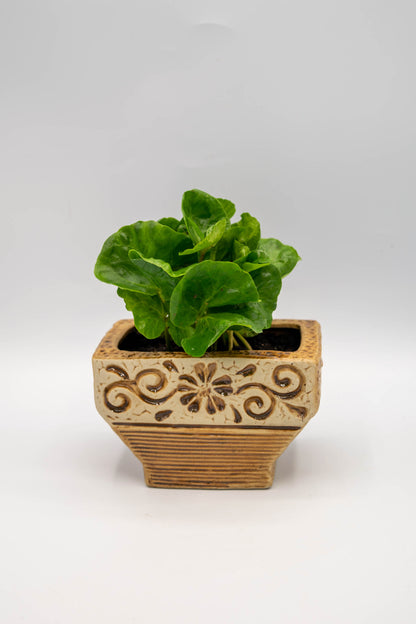 Ceramic Rectangle Foral Planter