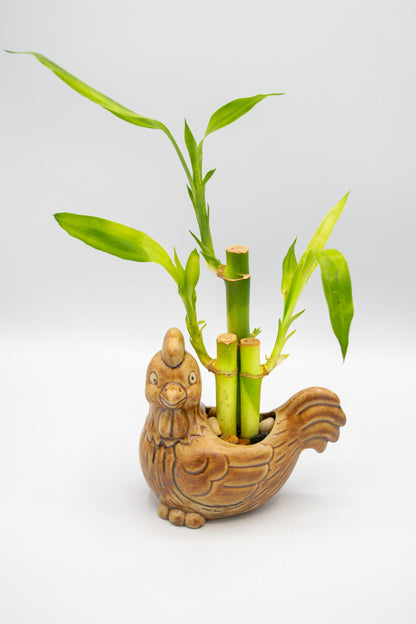 Chicken Left Facing Planter
