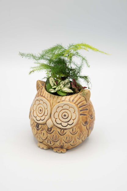 Owl Small Planter