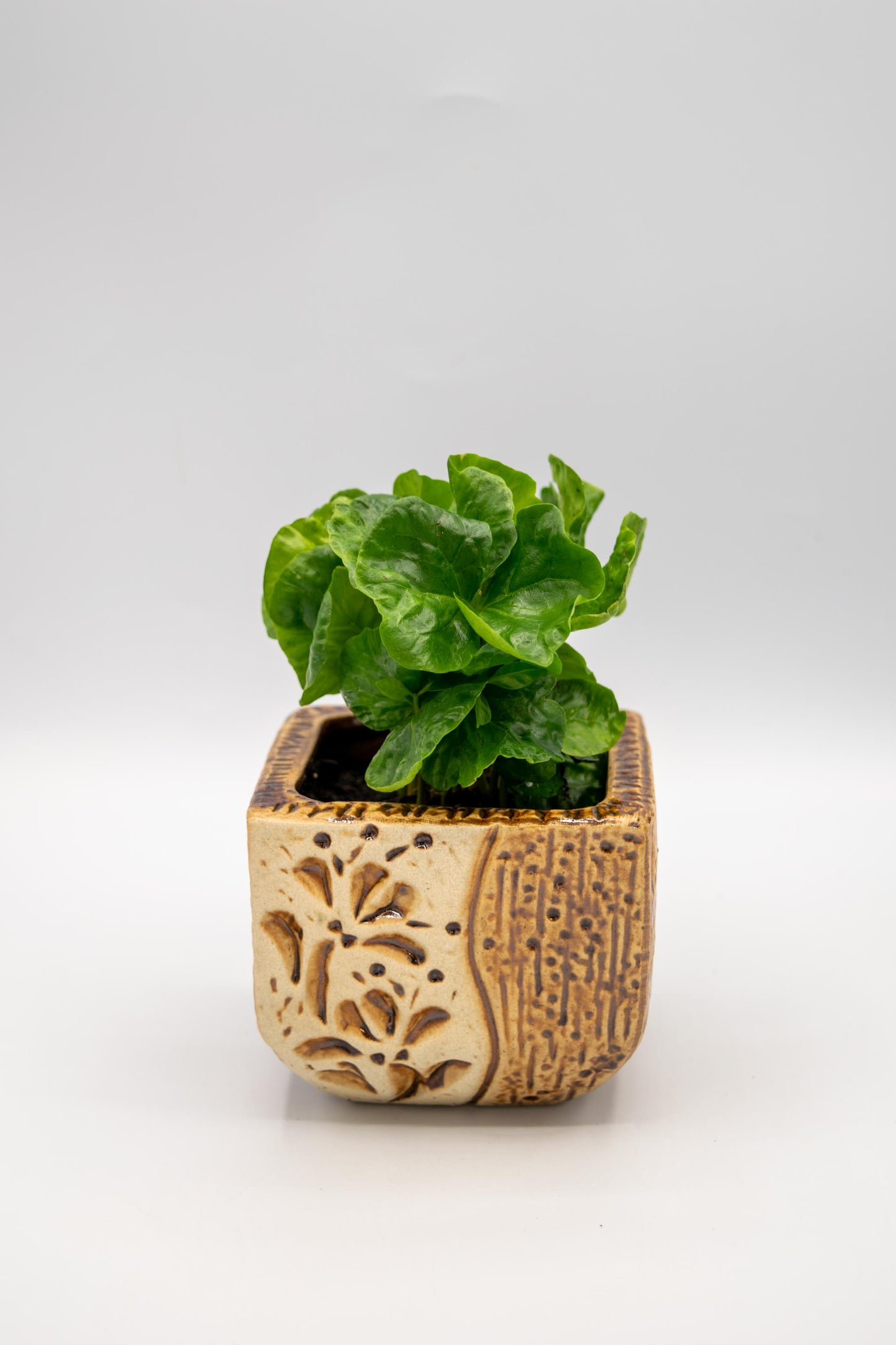 Ceramic Square Shaped Floral Planter