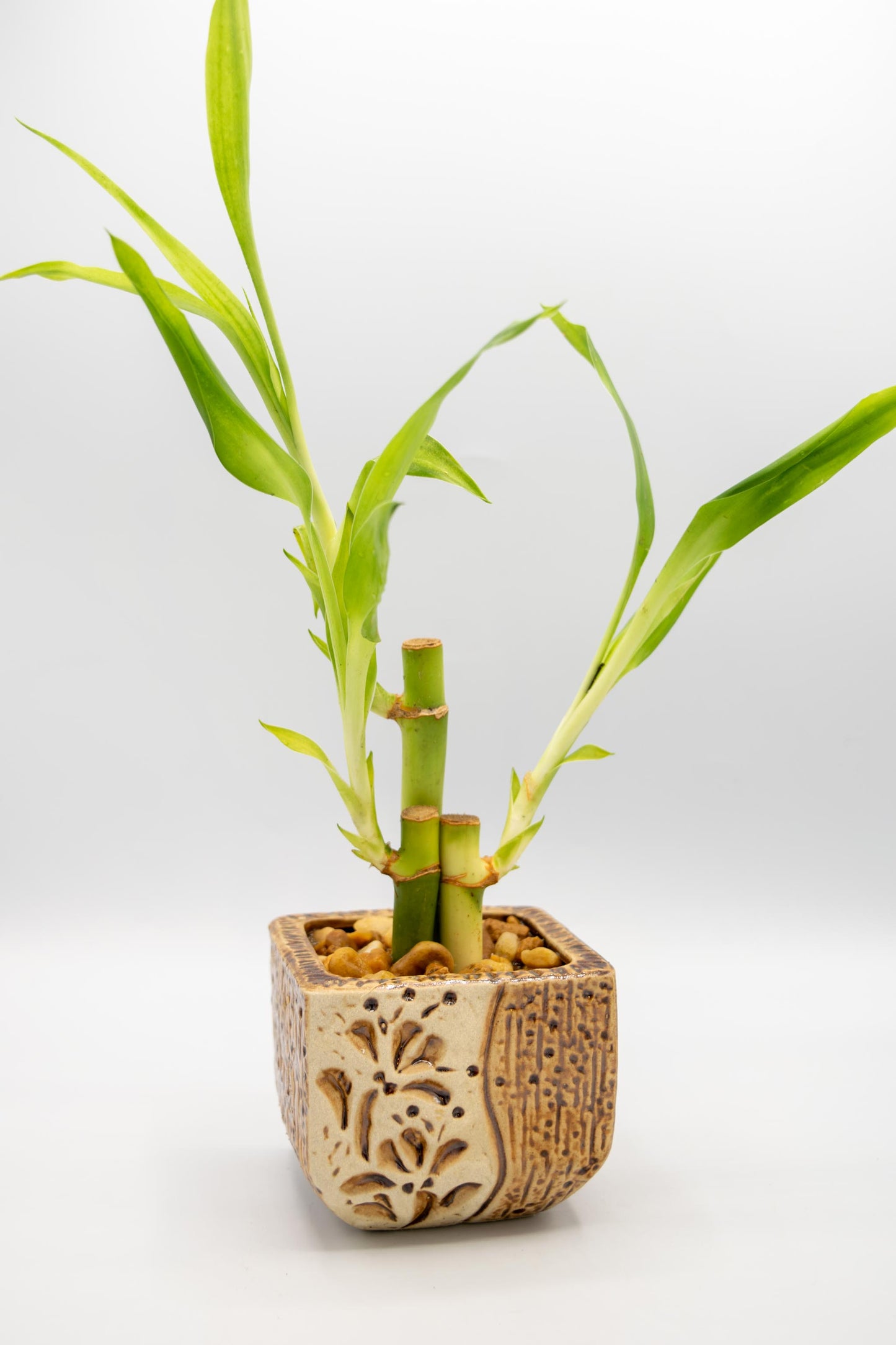 Ceramic Square Shaped Floral Planter