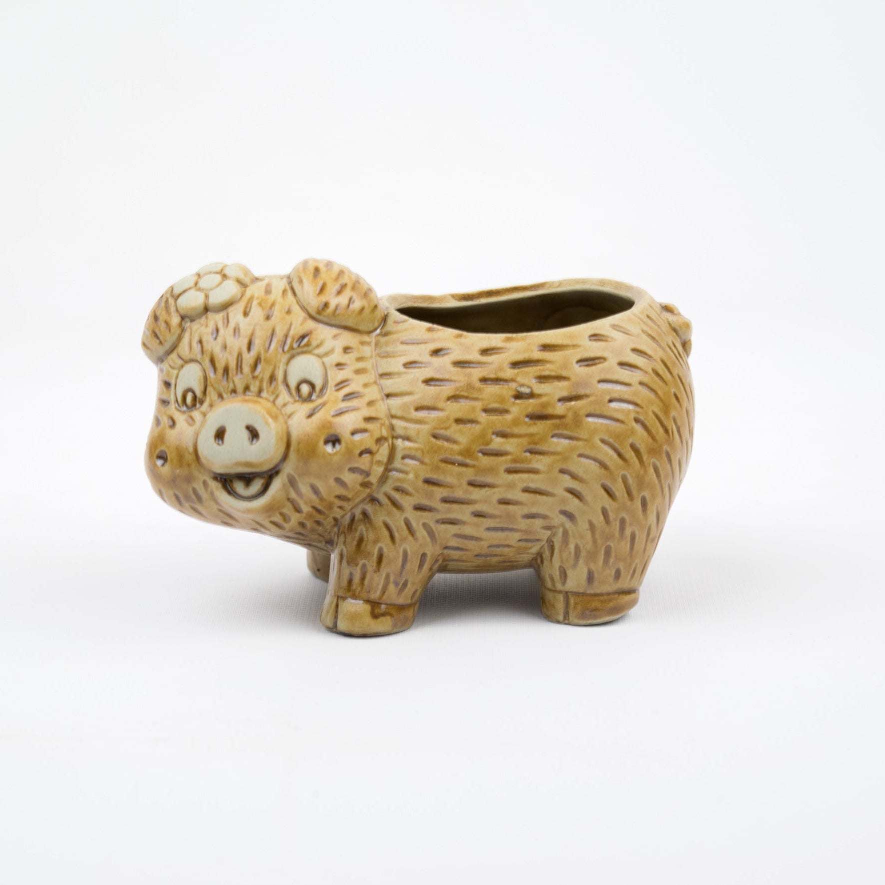 A beige wooden planter in the shape of a pig with a smiling face.