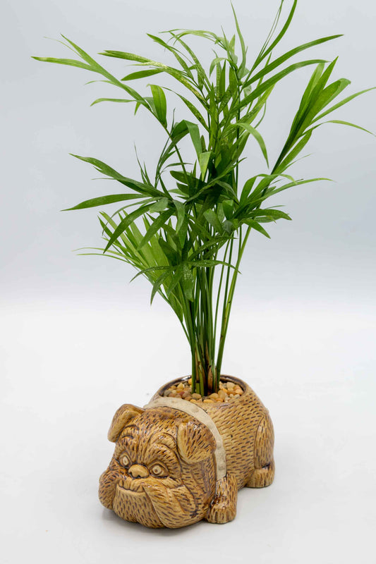 Bulldog Planter