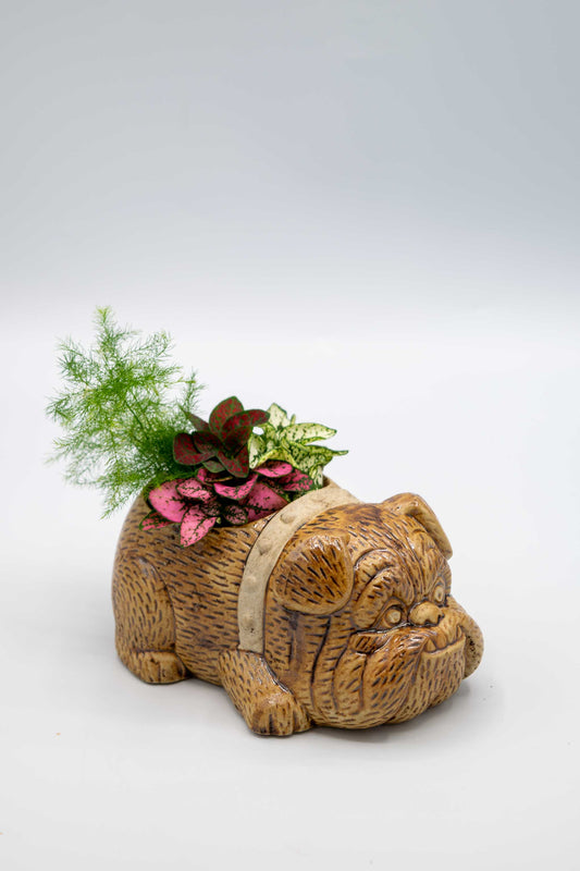 Bulldog Planter