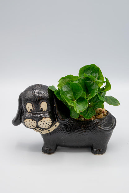 Dachshund Planter