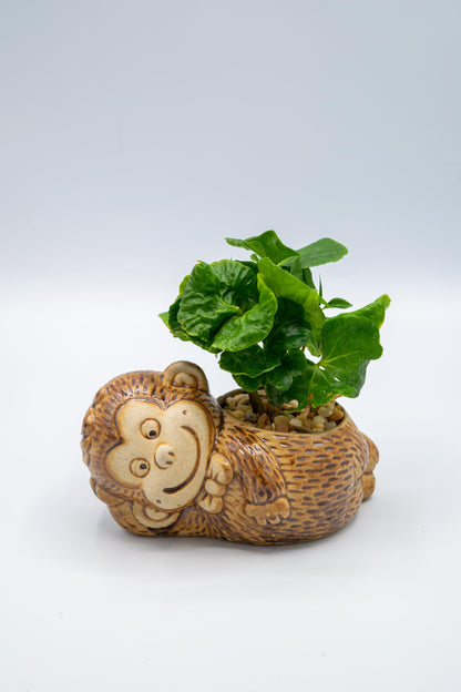 Monkey Bowtie Planter