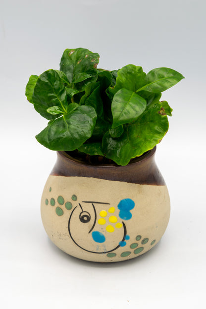 Blowfish Painted Planter
