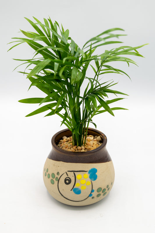 Blowfish Painted Planter