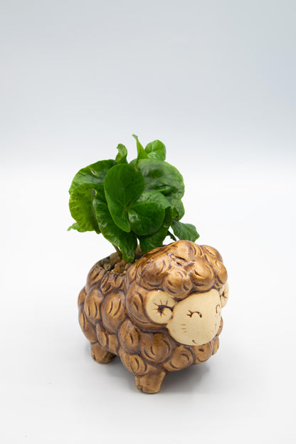Sheep Front Facing Planter