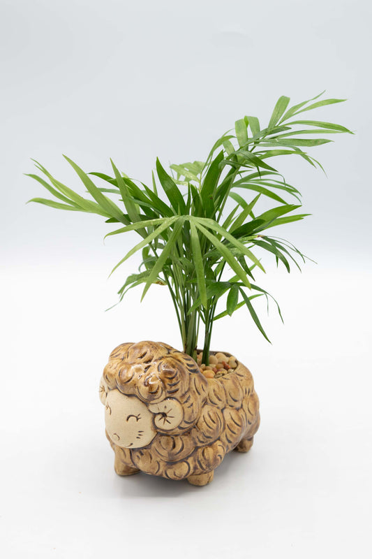Sheep Front Facing Planter