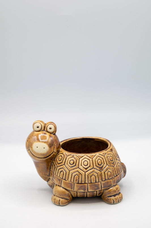 Turtle Planter