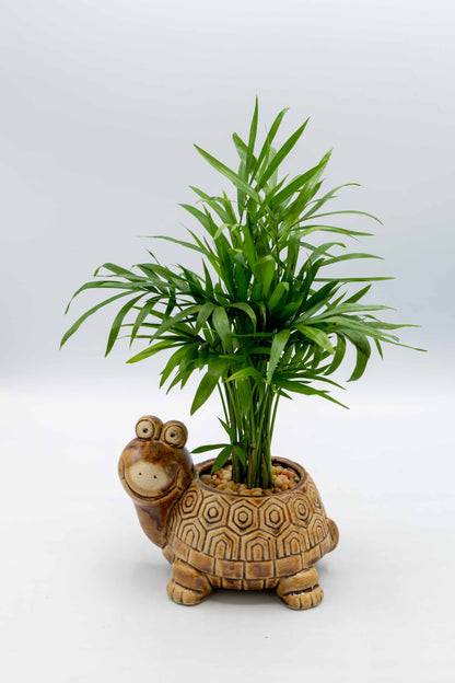 Turtle Planter
