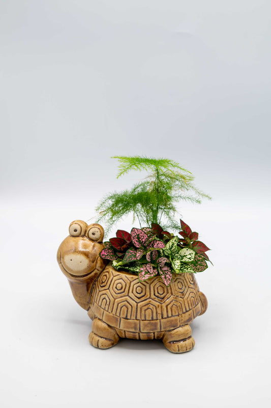 Turtle Planter