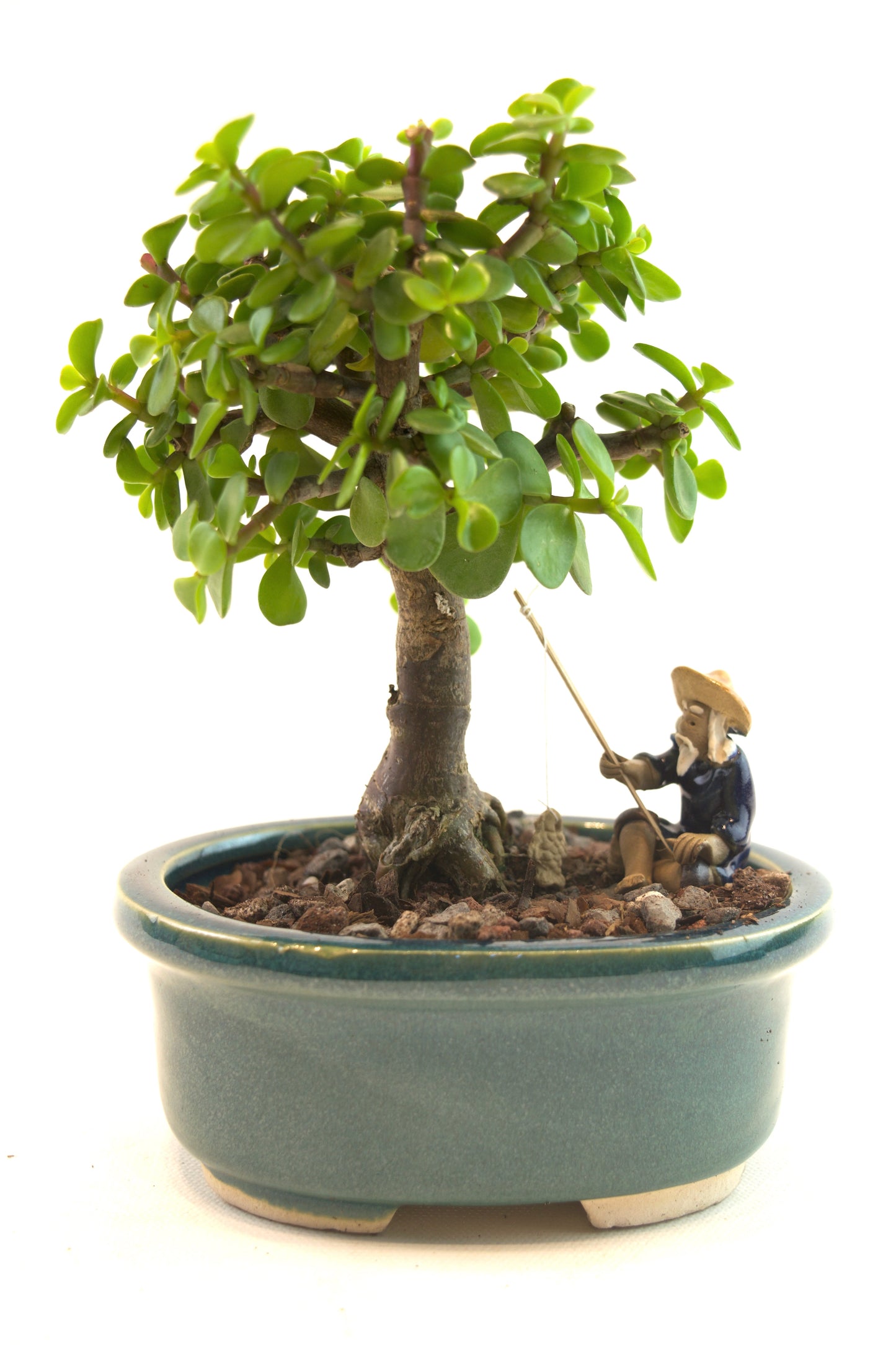 Mini Green Jade Mint Green Ceramic 5" Pot - One of a Kind Bonsai
