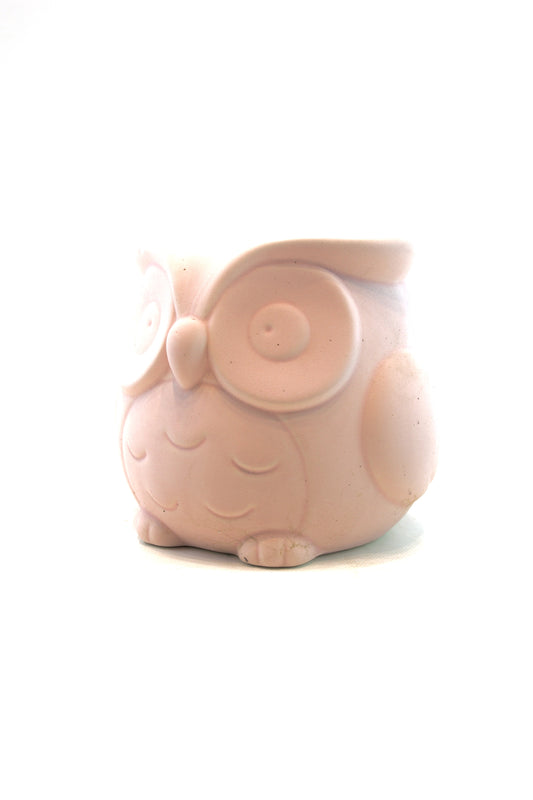 Large Owl Color Planter