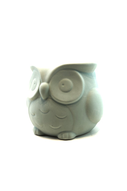 Large Owl Color Planter
