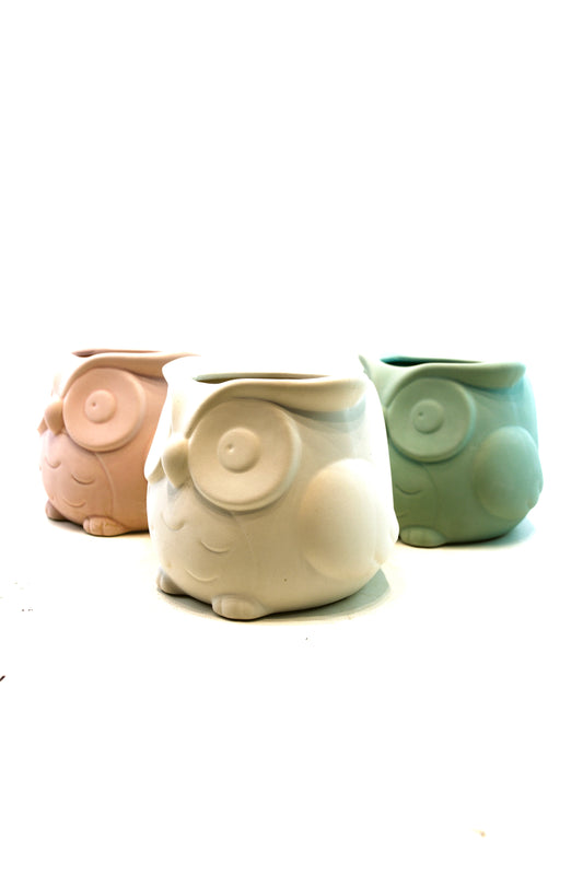 Large Owl Color Planter