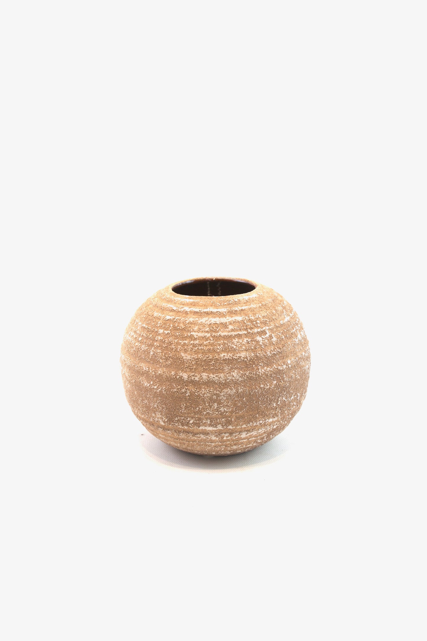 Money Tree in a 5"Ceramic Rock Pot