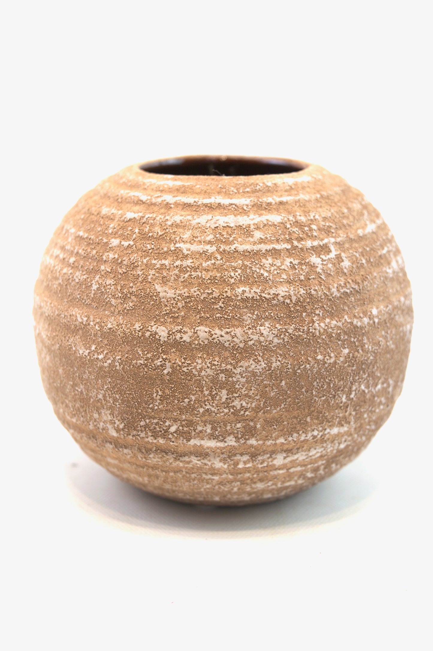 Money Tree in a 5"Ceramic Rock Pot